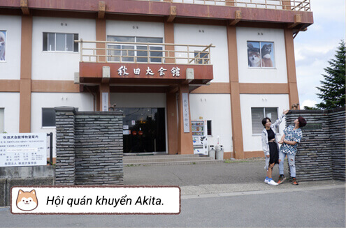 Hội quán khuyển Akita.